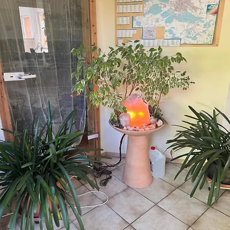 Guest house Gruenwald