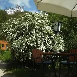 Gasthof Grünwald 3*