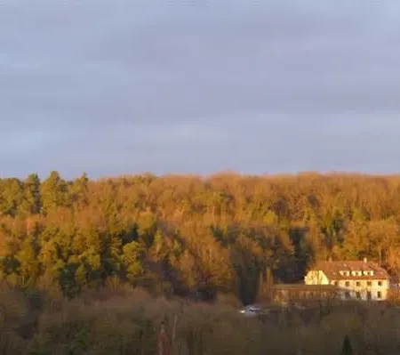 Grünwald